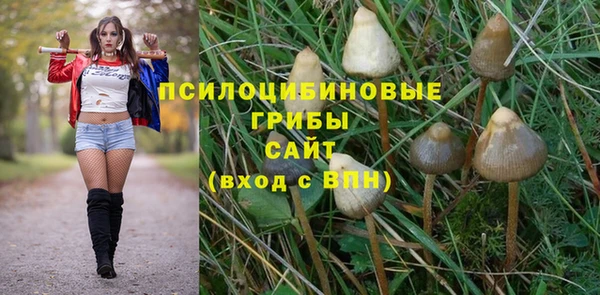 сатива Алексин