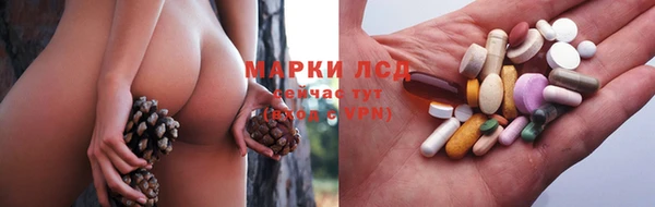 дмт Арсеньев