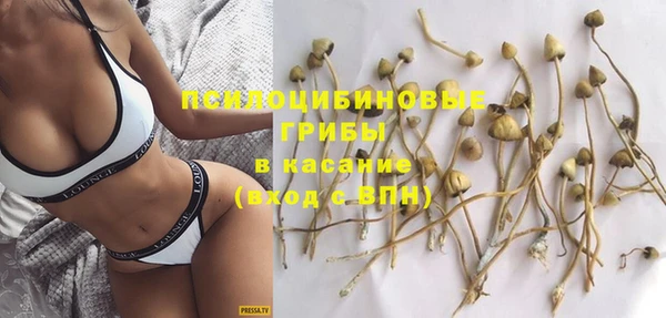прущие крисы Аркадак