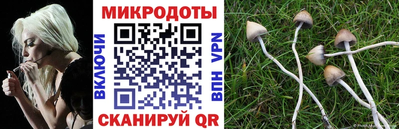 Галлюциногенные грибы MAGIC MUSHROOMS  хочу   Белорецк 